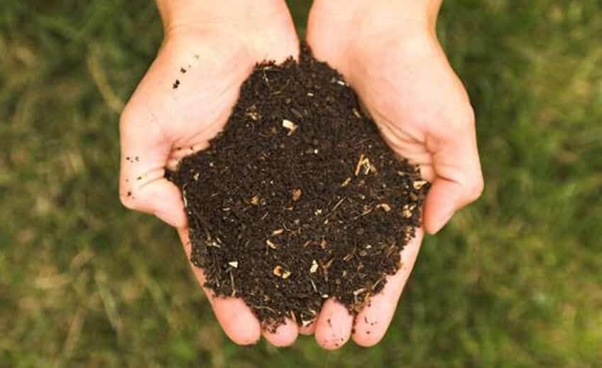 5 Things To Consider Before Soil Sampling